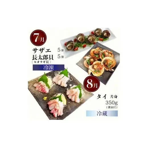 【 刺身 】 刺身定期便12ヶ月