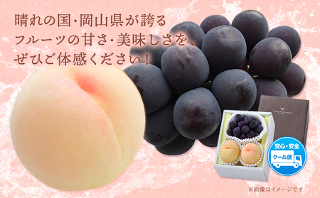 【2026年発送先行予約】桃・ピオーネ詰め合わせ 約1kg クール便 冷蔵便 桃 もも 葡萄 ブドウ ぶどう ピオーネ フルーツ セット 晴れの国おかやま館 《2026年8月下旬-9月中旬頃出荷》 フルーツ 果物 果実 岡山県 矢掛町