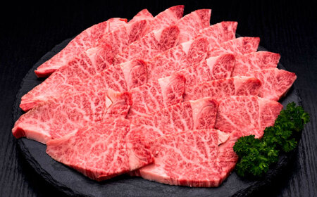 【お中元対象】【訳あり】A4，5等級 博多和牛ヒレ焼肉 600g [ADBM177] ヒレ 焼肉用