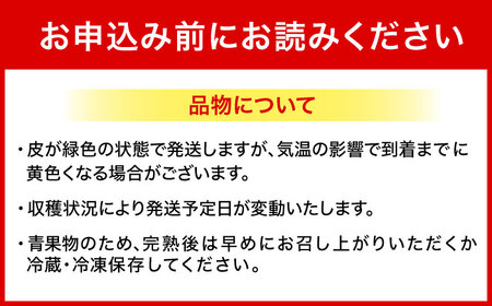 【2026年発送】沖縄県産アップルバナナ 1kg BCBH003