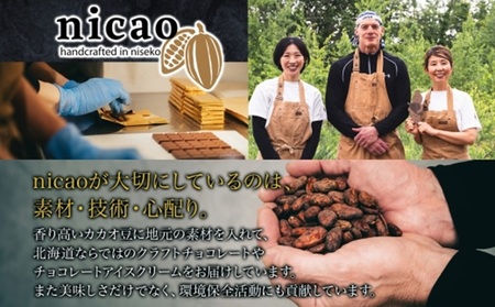 nicao チョコレートチップアイスクリーム 6個　北海道　アイス