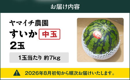 【 三浦 農家 直送 】中玉 スイカ（2個入り） M003-002 【 期間限定 】 果物 すいか