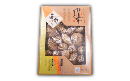 対馬 原木 天白どんこ椎茸 1箱（150g）《対馬市》【うえはら株式会社】 対馬産 肉厚 しいたけ 乾燥 きのこ[WAI119]