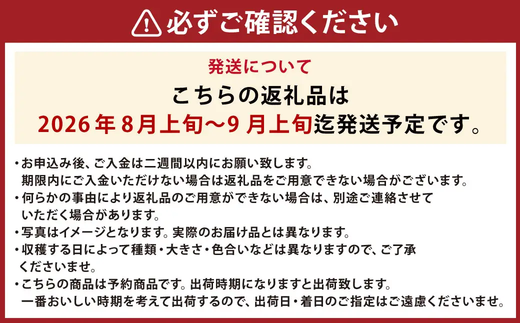 きたいろトマト （1.4kg）と 朝もぎトウキビ （14本）のセット 【2026年8月上旬～9月上旬発送迄予定】 トマト とうもろこし トウモロコシ 野菜 朝採れ オーガニック