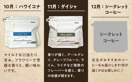 【全12回定期便】世界を旅するコーヒー(豆) / 珈琲 コーヒー / Coffee SAKURA[BBAB150]