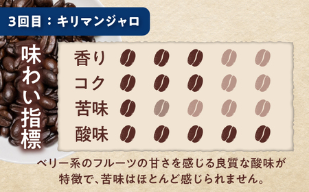 【全3回定期便】世界のコーヒー豆 おためし便(粉) / 珈琲 コーヒー / Coffee SAKURA[BBAB155]