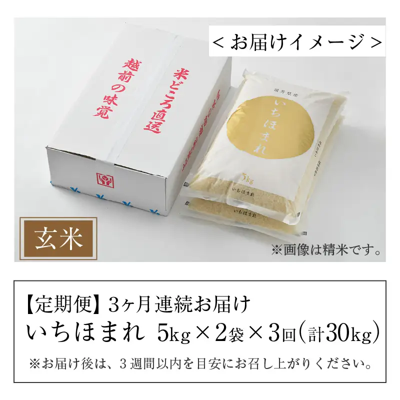 【令和7年産】定期便3回 いちほまれ 玄米 10kg×3回（計30kg）《新鮮な高品質米をお届け！》／ 福井県産 ブランド米 ご飯 [aw064-g003]