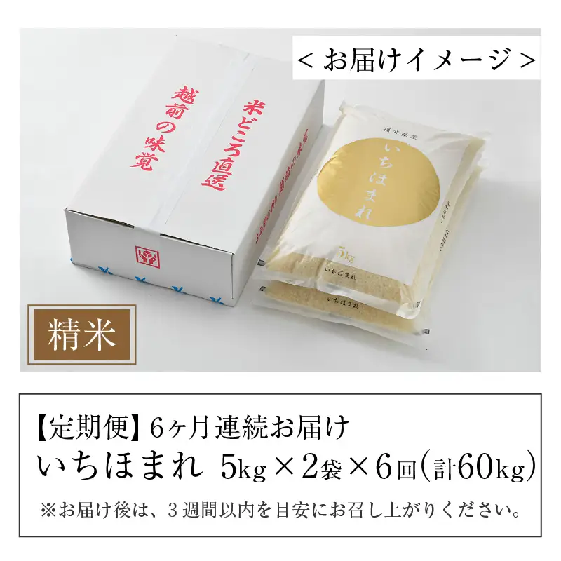 【令和7年産】定期便6回 いちほまれ 精米 10kg×6回（計60kg）《お米マイスターが発送直前に精米！》／ 福井県産 ブランド米 ご飯 白米 新鮮 [aw064-m004]