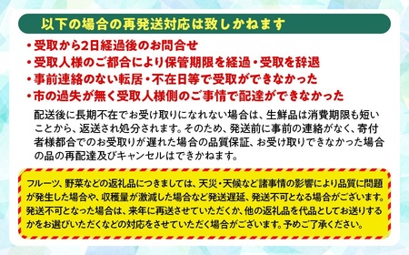 【令和8年産先行予約】さくらんぼ 佐藤錦 (Lサイズ以上) バラ詰め 500g　鈴木農園