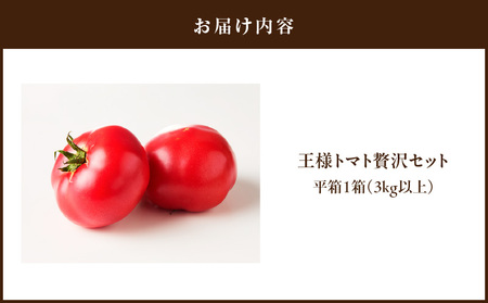 王様 トマト 贅沢 セット M001-003 野菜 三浦野菜