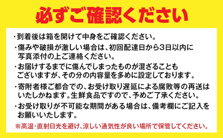オンライン決済限定 不知火 計4kg以上 傷み補償分入り_AAV11-25