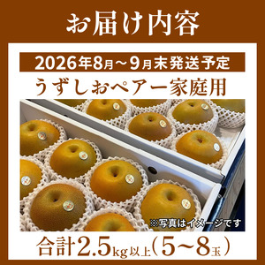 梨 うずしおペアー 2.5kg以上 梨
