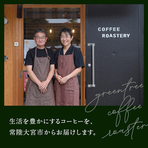 コーヒー粉150gドリップパック3個入り（3種類×1パック） スペシャリティコーヒー コーヒー粉 ドリップパック 飲み比べ ドリップコーヒー 茨城県 常陸大宮 【green tree coffee roaster】【ho1560】