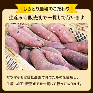 干し芋（スティックタイプ）訳あり品　1kg（100g×10パック）