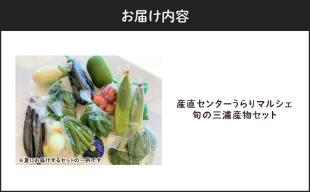 産直センターうらりマルシェ　 旬の三浦産物セット M033-002 野菜 三浦野菜