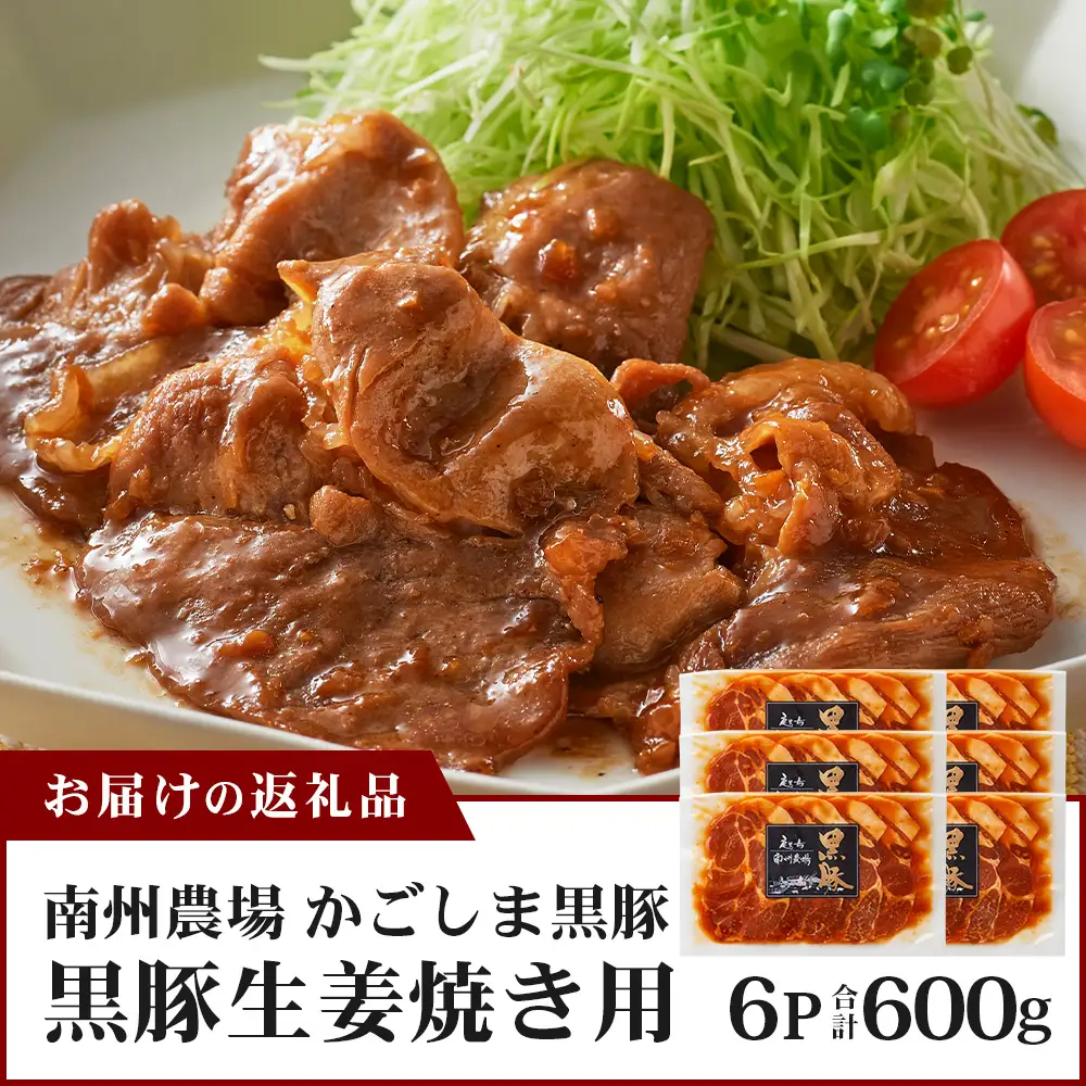 鹿児島県産 黒豚生姜焼きセット（100g×6パック）味付き肉 冷凍 NS-22 | 鹿児島 黒豚 かごしま黒豚 お肉 肉 豚肉 しょうが焼き 焼くだけ 味付き おかず お弁当 加工肉 真空パック 鹿児島県 南大隅町 南州農場