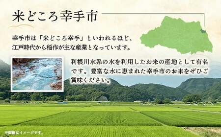 令和7年産 幸手市産 コシヒカリ 白米20kg 色彩選別済 White Rice- お米 米 こしひかり 精米 20kg 埼玉県 幸手市