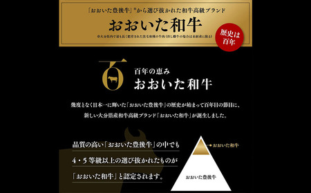 おおいた和牛 ヒレステーキ  (1枚/100g) | ヒレステーキ 津久見市
