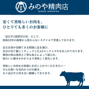 ハンバーグ10個　近江牛A5と国産豚の手作りハンバーグ