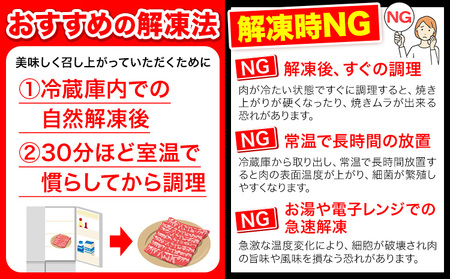 ホルスタイン 切り落とし 600g 牛肉 切り落とし