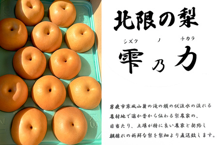 【令和8年度 早期受付】幸水 約10kg 9月上旬～9月中旬発送 梨 旬の果物 ギフト 秋田県 男鹿市 男鹿ファーム直売所