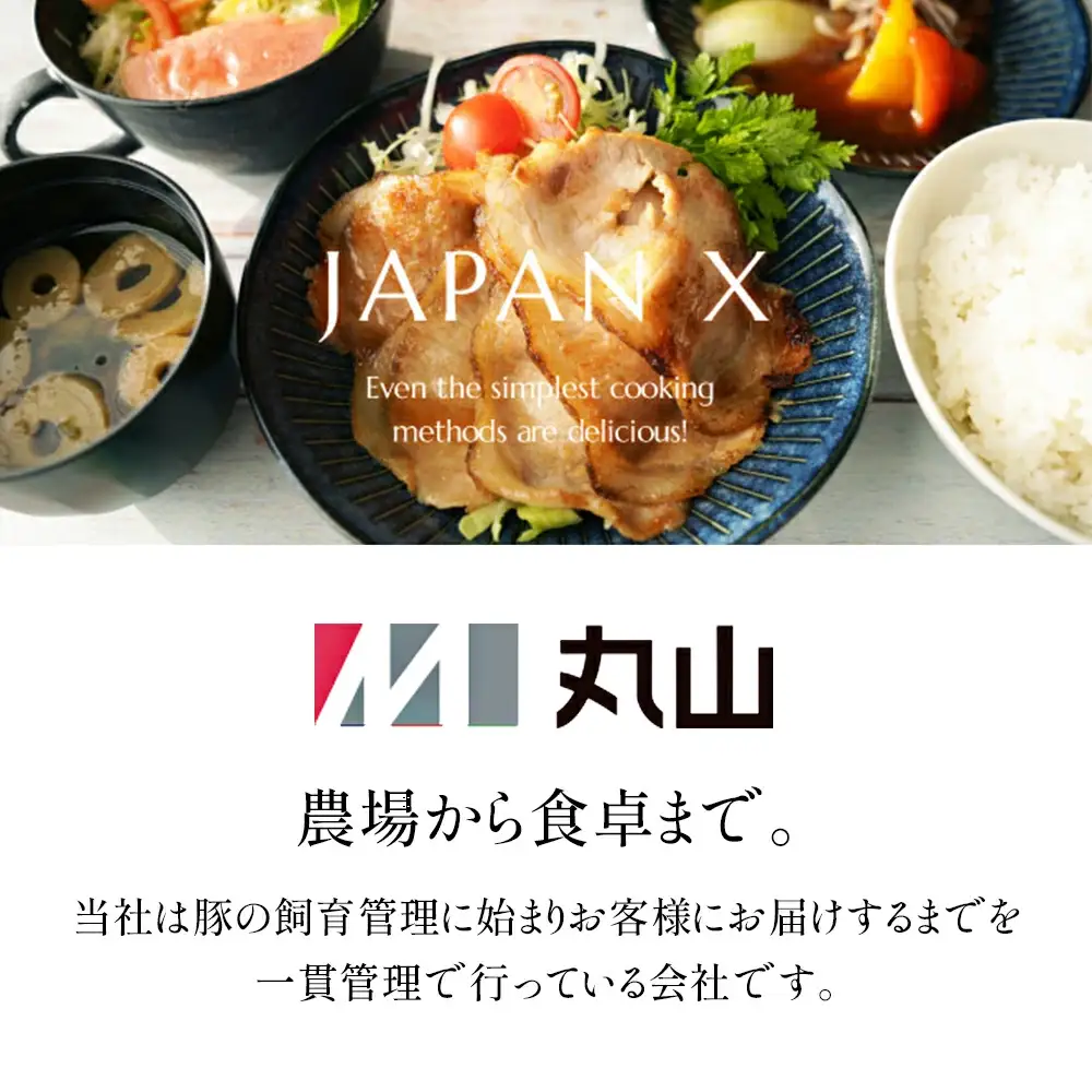 JAPAN X 味付ロース5点セット 生姜焼き5パック　豚肉 豚 ブランド豚 小分け ロース 豚ロース 味付 時短 生姜焼き 山賊焼き ジャパンエックス 蔵王 人気　【04301-0883-1】