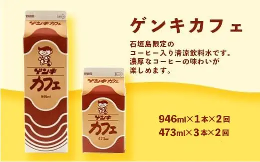【定期便_2回】八重山ゲンキ乳業 オールスターセット　GN-2_2t