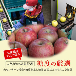 りんご【12月・1月発送】蜜入り 糖度13度以上 おもてなし品  葉とらず サンふじ 約5kg【青森りんご】果物 フルーツ 産地直送 贈り物 年末 年始 挨拶