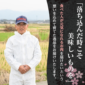 さくらファーム 黒豚 しゃぶしゃぶ 計800g 豚肉 ロース 冷凍 【スーパーよしだ】 i1150-B