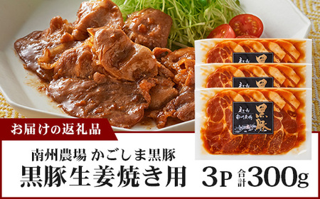 鹿児島県産 黒豚生姜焼きセット（100g×3パック）味付き肉 冷凍 NS-21 | 鹿児島 黒豚 かごしま黒豚 お肉 肉 豚肉 しょうが焼き 焼くだけ 味付き おかず お弁当 加工肉 真空パック 鹿児島県 南大隅町 南州農場
