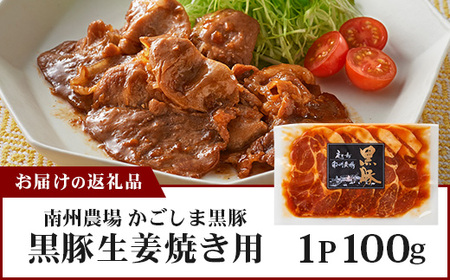 鹿児島県産 黒豚生姜焼き（100g×1パック） 味付き肉 冷凍 NS-20 | 鹿児島 黒豚 かごしま黒豚 お味見 お試し お一人様用 お肉 肉 豚肉 しょうが焼き 焼くだけ 味付き おかず お弁当 加工肉 真空パック 鹿児島県 南大隅町 南州農場