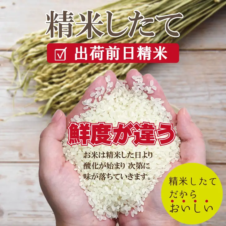 令和7年度産  特別栽培米 無洗米 さがびより （ 5kg ）2024お米番付「優秀賞」！佐賀県認定 しもむら農園  B180-014