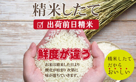 令和7年度産 佐賀県認定 特別栽培米 無洗米 ヒノヒカリ（5㎏）しもむら農園 佐賀 農薬半分以下 一等米 精米 白米 ブランド米 お米 白飯 人気 ランキング 高評価 お米  B180-015