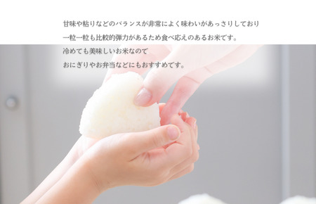 令和7年産 愛媛県産 ヒノヒカリ 10kg