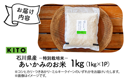 白米 精米 【令和7年産】あいかみのお米 1kg（1kg × 1パック） / お米 お米 
