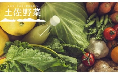 旬の土佐野菜セット 旬の詰め合わせ小セット 4回定期便 野菜