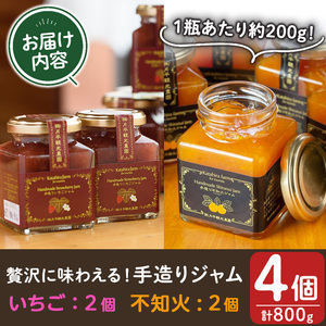 No.1309 苺ジャム(200g×2本)と不知火ジャム(200g×2本) 国産 九州産 鹿児島県産 いちご イチゴ 苺 不知火 しらぬい ジャム フルーツ 果物 柑橘 手作り 手造り 調味料 小分け 贈答 プレゼント 保存料無添加 着色料無添加【片平観光農園】【907】