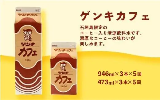 【定期便_5回】八重山ゲンキ乳業 全種バリューセット　GN-4_5t