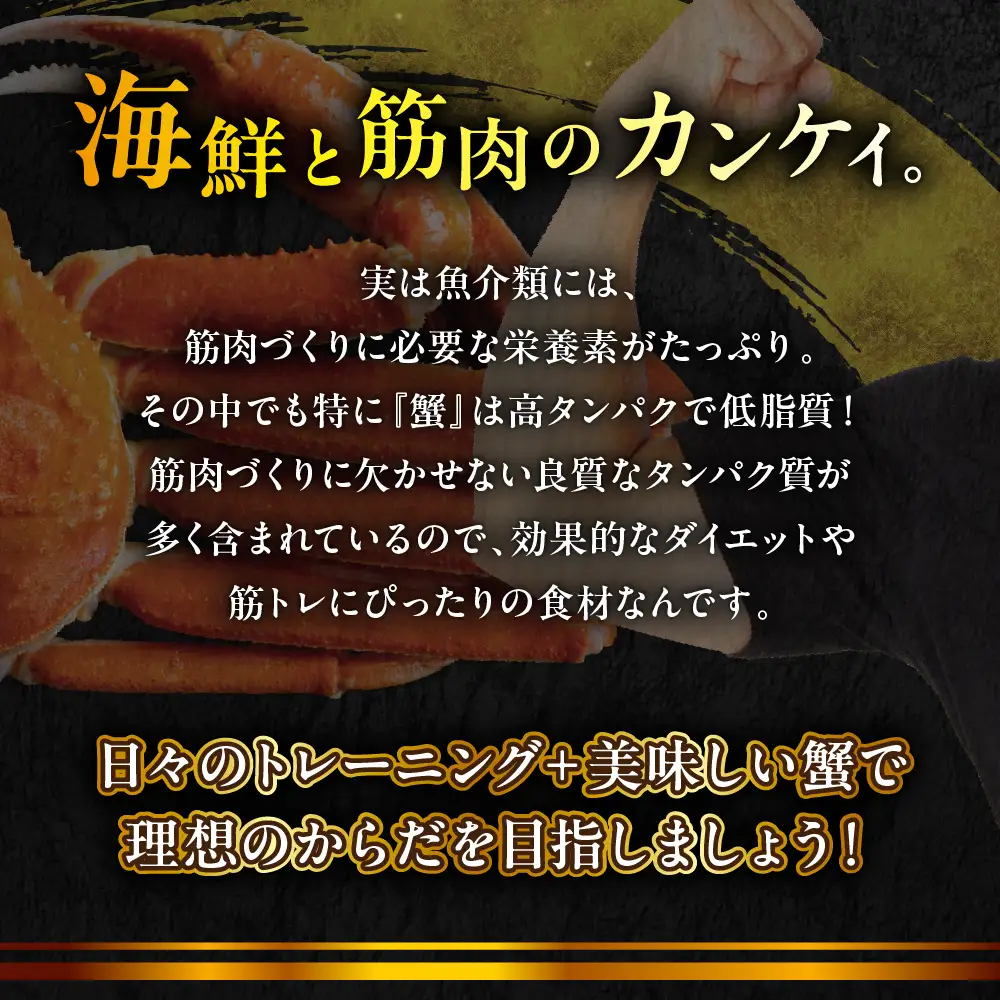 本ズワイガニ 5肩（約2㎏）