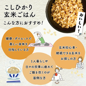 【玄米パック】 定期便3回 胚芽の大きなプレミアムこしひかり 160g 計12個 玄米パック