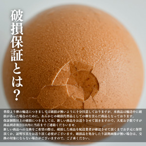 卵 赤卵 常温 60個 たまご 卵