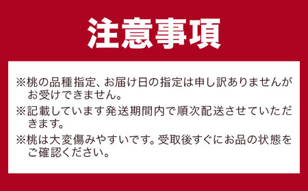 【2回定期便】岡山の桃定期便 2回コース 桃