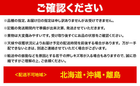 【3回定期便】岡山のぶどう定期便 シャインマスカット ニューピオーネ マスカット【配送不可地域あり】
