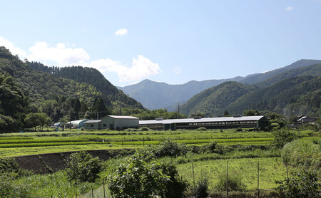 Y1000 平飼い天美卵20個〈大江ノ郷自然牧場より直送〉