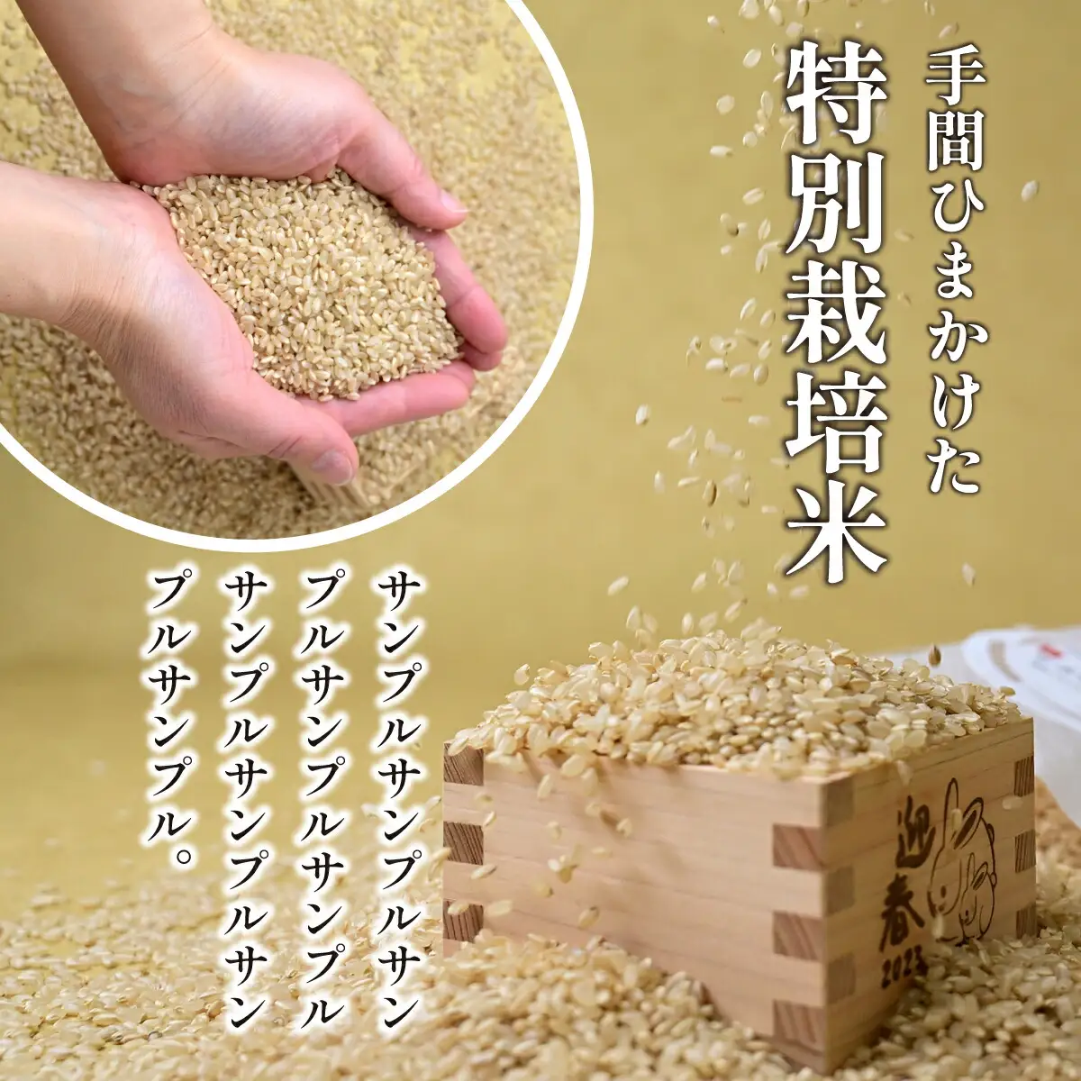 【特別栽培米】コシヒカリ　茨城県産　玄米　4.5kg【1670040】