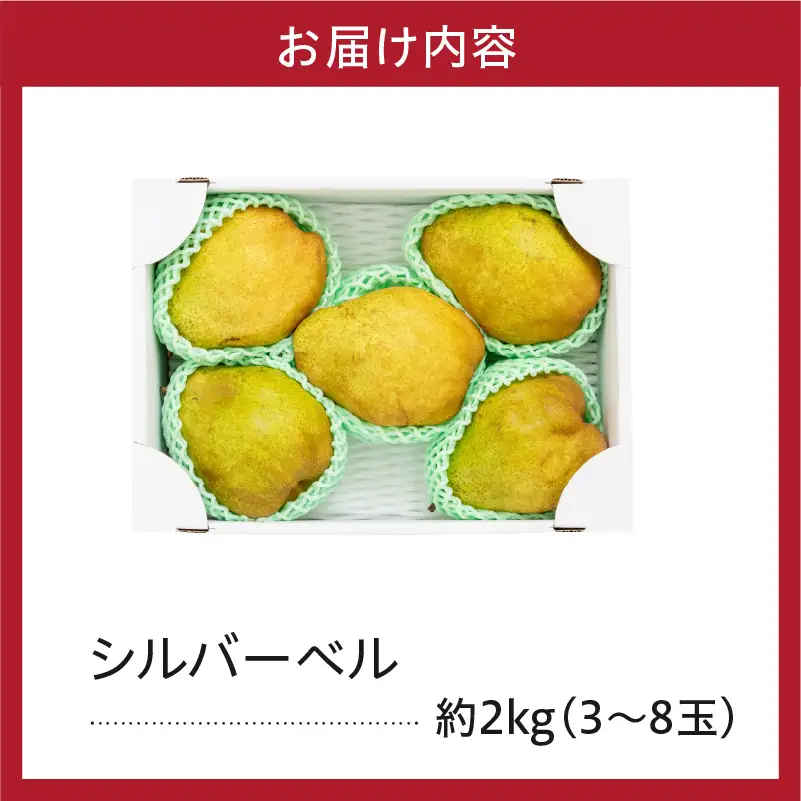 【先行予約】 令和8年産 シルバーベル 約2kg 山形 西洋梨