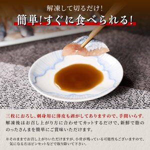 北海道産「刺身さんま」【12枚×3パック（18尾分）】_K012-1517