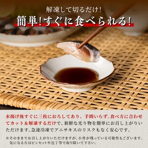 北海道産「刺身いわし」【20枚×4パック（40尾分）】_K010-1520