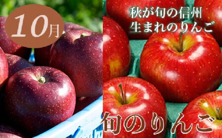 【6回定期便】小布施屋のフルーツ定期便　6ヵ月コース ［小布施屋］ 定期便 頒布会 フルーツ 果物 令和8年産 【2026年7月～12月発送】 ［J-3］