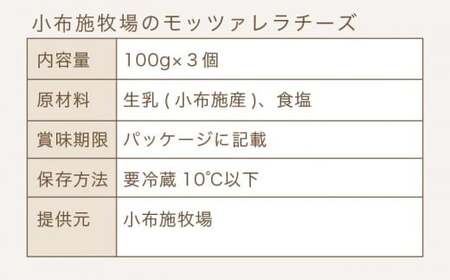無添加 小布施牧場の搾りたてジャージー牛乳で作ったモッツァレラチーズ 100g × 3個 ［小布施牧場］チーズ モッツァレラ おつまみ サラダ 冷蔵便 クール便 プレゼント 長野 信州 ［A-29］